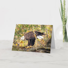 Decorah North Eagles: Der Erntemond Karte