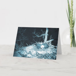 Decorah North Eagles: Der Schneemond Karte