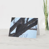 Decorah North Eagles: Der Wolf Moon Karte (Vorderseite)