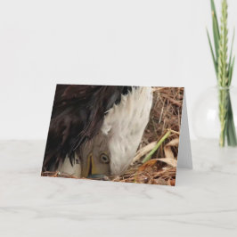 Decorah North Eagles: Der Wurmmond Karte