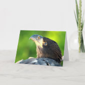 Decorah North Eagles: Die Blume Mond Karte (Vorderseite)