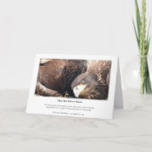 Decorah North Eagles: Die Blume Mond Karte (Rückseite)