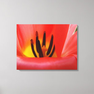 Decorative Art Red Tulip Flower Fotografie Leinwan Leinwanddruck