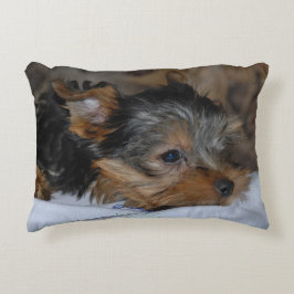 decorative cushion with a little dog dekokissen