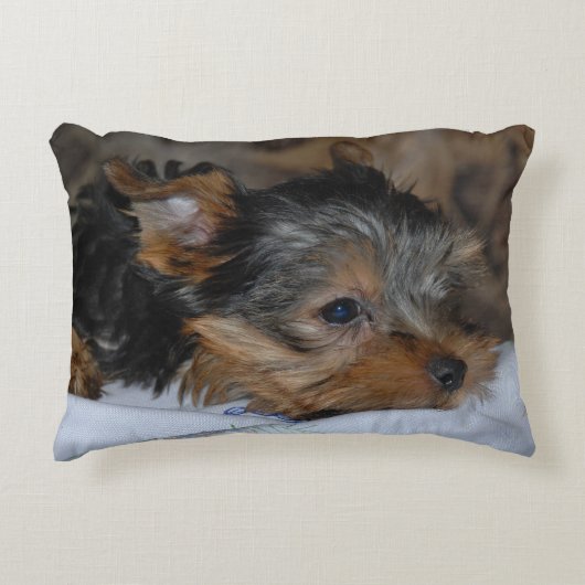 decorative cushion with a little dog dekokissen (Vorderseite)