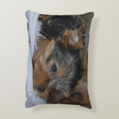 decorative cushion with a little dog dekokissen (Rückseite(Vertikal))