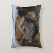 decorative cushion with a little dog dekokissen (Vorderseite(Vertikal))