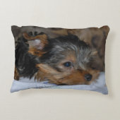 decorative cushion with a little dog dekokissen (Rückseite)