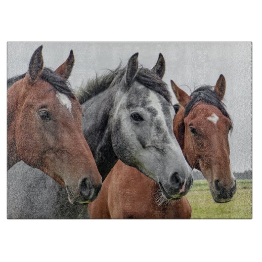 Decorative Drei Pferdeköpfe Glasschneidebrett Schneidebrett (Vorderseite)