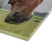 Decorative Drei Pferdeköpfe Glasschneidebrett Schneidebrett (Ecke)