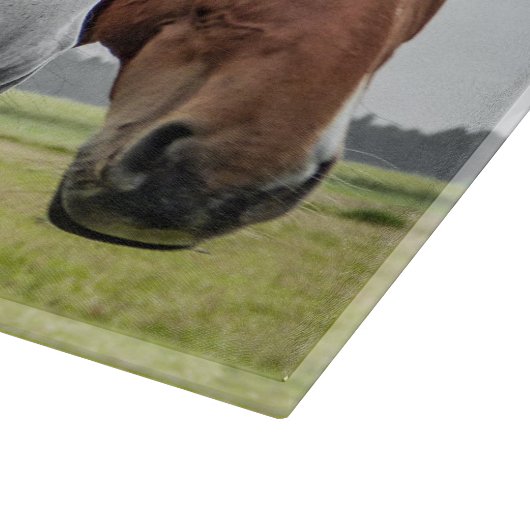 Decorative Drei Pferdeköpfe Glasschneidebrett Schneidebrett (Ecke)