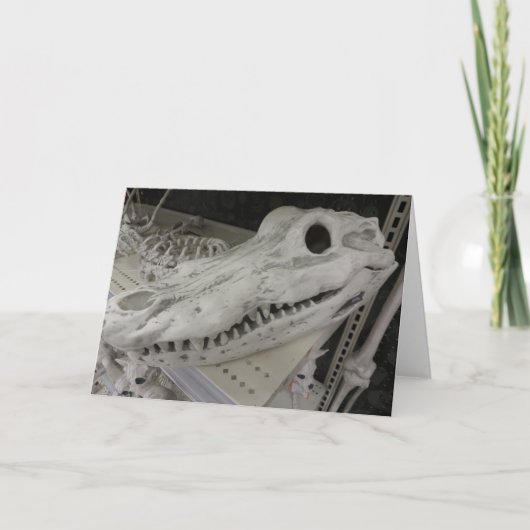 Decorative Gator Skull Karte (Vorderseite)