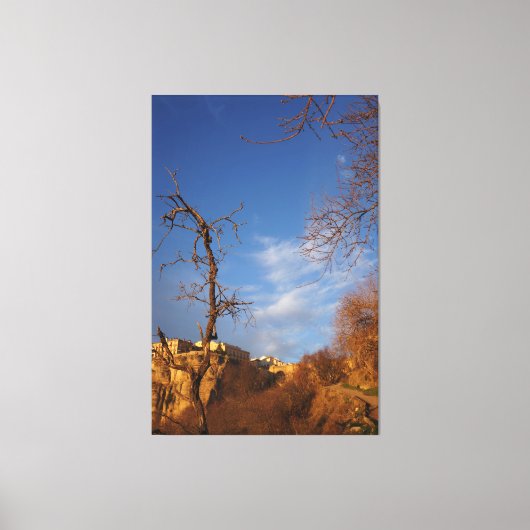 decorative wall art  leinwanddruck (Vorderseite)