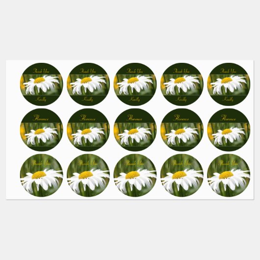 Decorative White Daisy Etiketten (Blatt)
