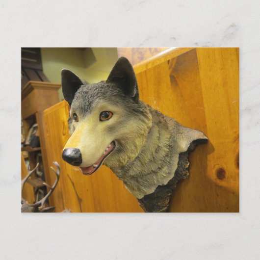 Decorative Wolf Head Postkarte (Vorderseite)