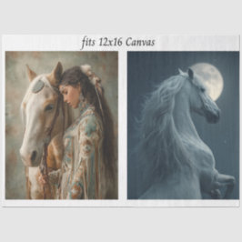 Decoupage 12x16 Canvas Ornate Horse Indian Woman Seidenpapier