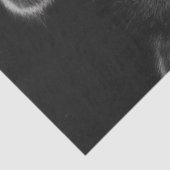 Decoupage 3 Raccoons Peeking Out Barn Door Seidenpapier (Ausschnitt)