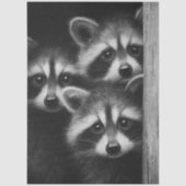 Decoupage 3 Raccoons Peeking Out Barn Door Seidenpapier (Vorderseite)