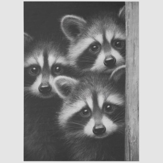 Decoupage 3 Raccoons Peeking Out Barn Door Seidenpapier (Vorderseite)