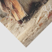 Decoupage 3 Racoon Forest Tricksters & Leckereien Seidenpapier (Ausschnitt)