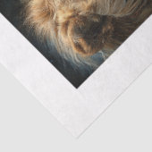 Decoupage 4 Lion Papers Fit 8 x 10 Canvas Seidenpapier (Ausschnitt)