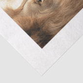 Decoupage 4 Lions Papers Fits 8 x 10 Canvas Seidenpapier (Ausschnitt)