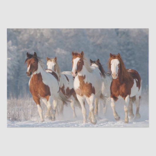 Decoupage 5 Pinto Galloping Schnee bedeckt Feld Seidenpapier (Vorderseite)
