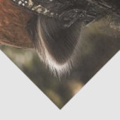 Decoupage Anthropomorphe Raccoon Robyn Hood Seidenpapier (Ausschnitt)