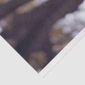 Decoupage Australian Shepherd Buddy Seidenpapier (Ausschnitt)