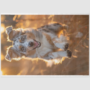 Decoupage Australian Shepherd Running Seidenpapier