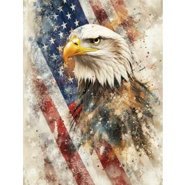 Decoupage Bald Eagle American Flag Prix Seidenpapier