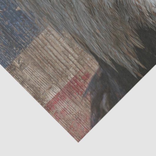 Decoupage Bald Eagle Weathered American Flag Seidenpapier (Ausschnitt)