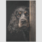 Decoupage Black Brown Cocker Spaniel Sadie Seidenpapier (Vorderseite)