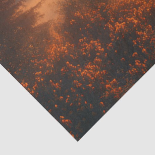 Decoupage Black Forest Deutschland Sunrise Seidenpapier (Ausschnitt)