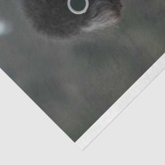 Decoupage Boho Hippie Standard Poodles Seidenpapier (Ausschnitt)