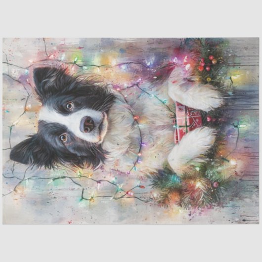 Decoupage Border Collie farbige Weihnachtsbeleucht Seidenpapier (Vorderseite)
