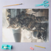 Decoupage Cat Militärische Pilot Luftfahrzeug Carr Seidenpapier (Basteln)