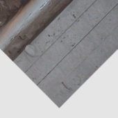 Decoupage Chicken Shenanigans Tissue Humor Seidenpapier (Ausschnitt)