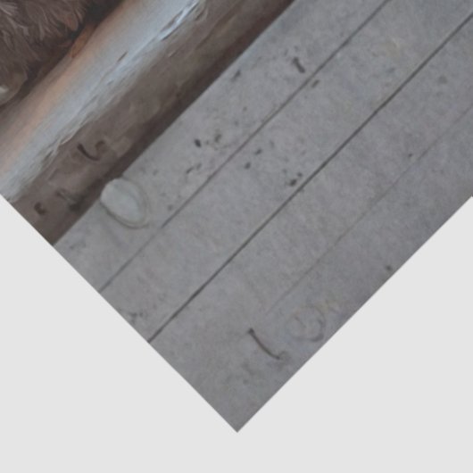 Decoupage Chicken Shenanigans Tissue Humor  Seidenpapier (Ausschnitt)