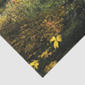 Decoupage Country Covered Bridge Fall Einstellung Seidenpapier (Ausschnitt)