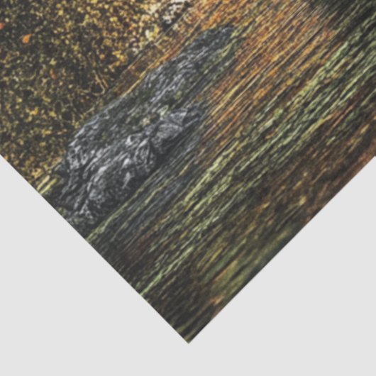 Decoupage Covered Bridge Dense Forest Seidenpapier (Ausschnitt)