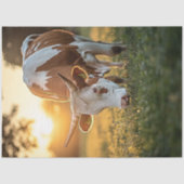 Decoupage Cow Long Horn Grazing Seidenpapier (Vorderseite)