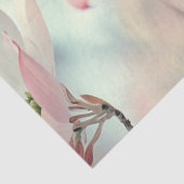 Decoupage Delicate Pink Dogwood Blume Seidenpapier (Ausschnitt)