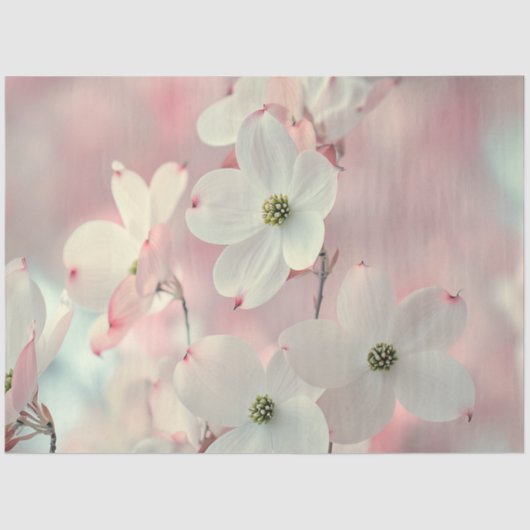Decoupage Delicate Pink Dogwood Blume Seidenpapier (Vorderseite)