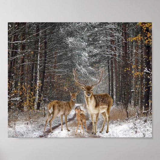 Decoupage der Hirschfamilie Poster (Vorne)