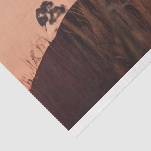 Decoupage Double Exposure Cowboy & Horse Seidenpapier (Ausschnitt)