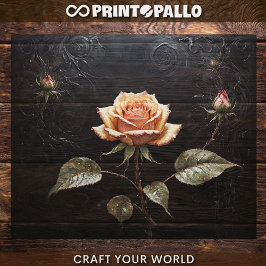 Decoupage - Ein Single rosa rosa Rosa auf schwarz  Seidenpapier