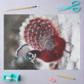 Decoupage Exotic Red Christmas Bird Seidenpapier (Basteln)