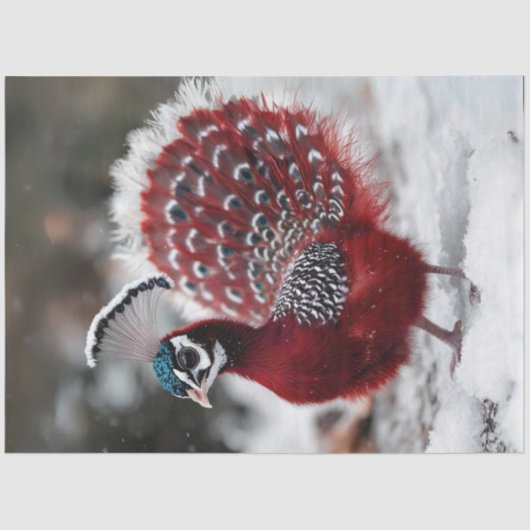 Decoupage Exotic Red Christmas Bird Seidenpapier (Vorderseite)