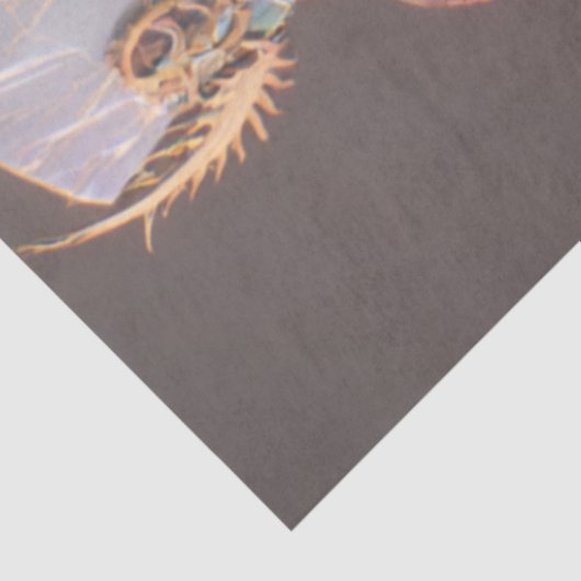 Decoupage Gothic Skeleton Prism Bones Seidenpapier (Ausschnitt)